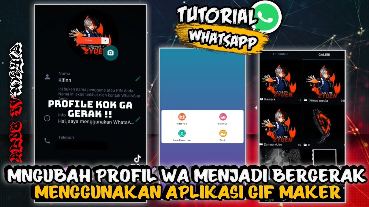 Provid Whatsapp Profile Video Apk