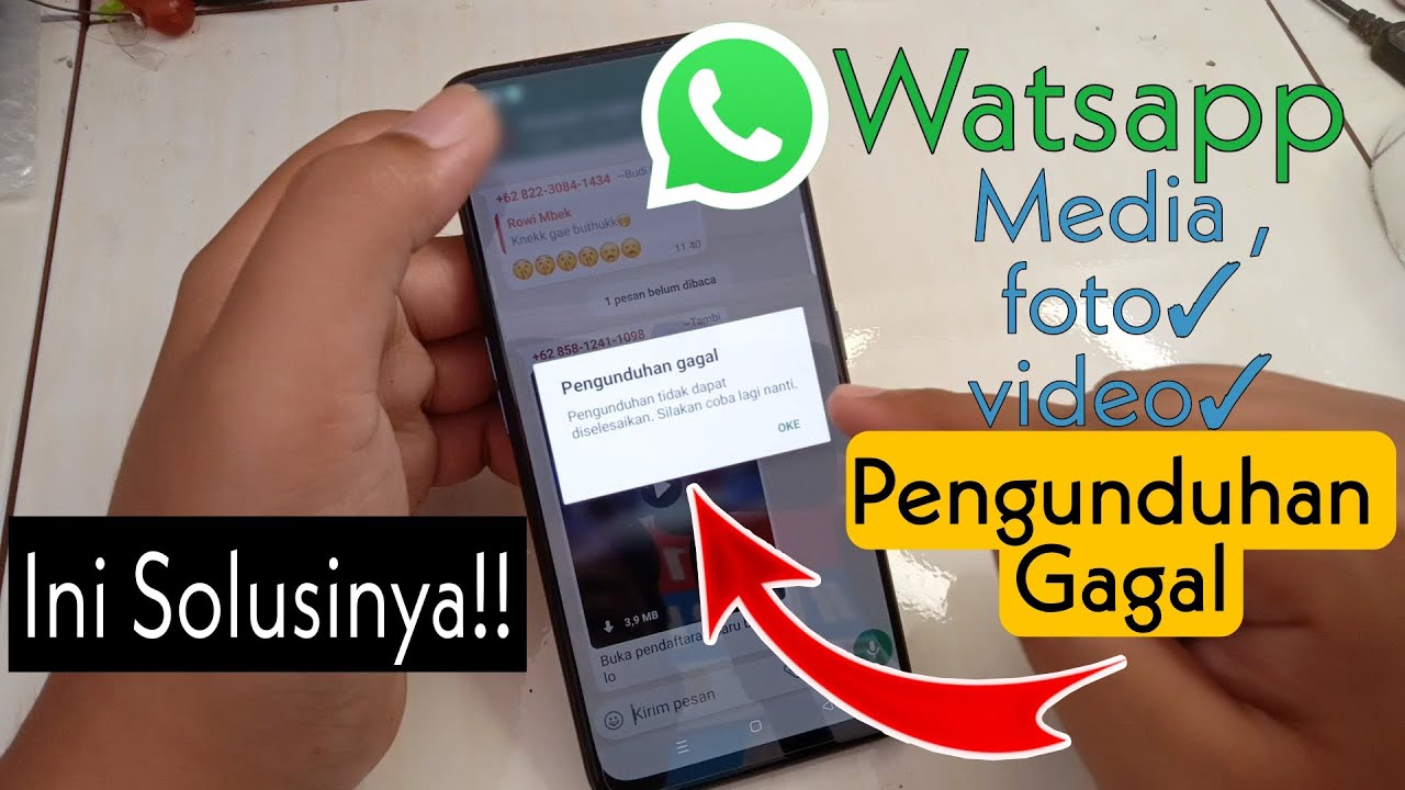 WhatsApp Tidak Bisa Download Video