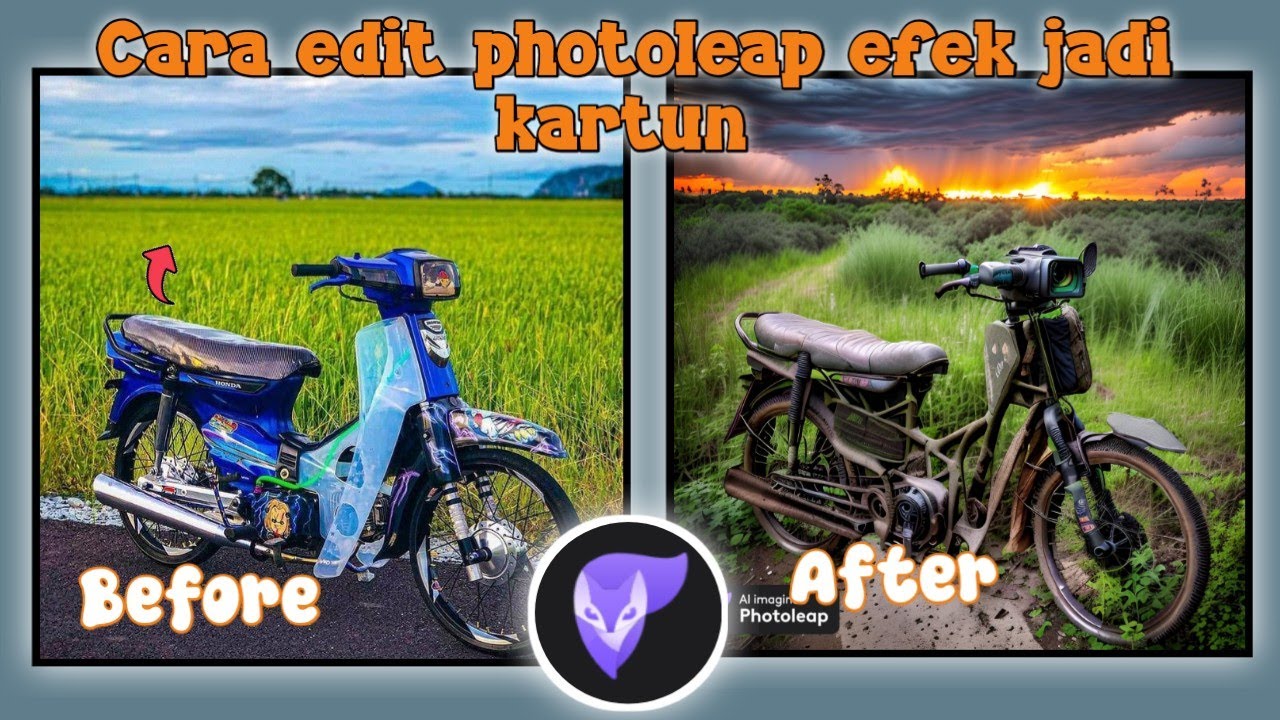 Photoleap Mod Apk